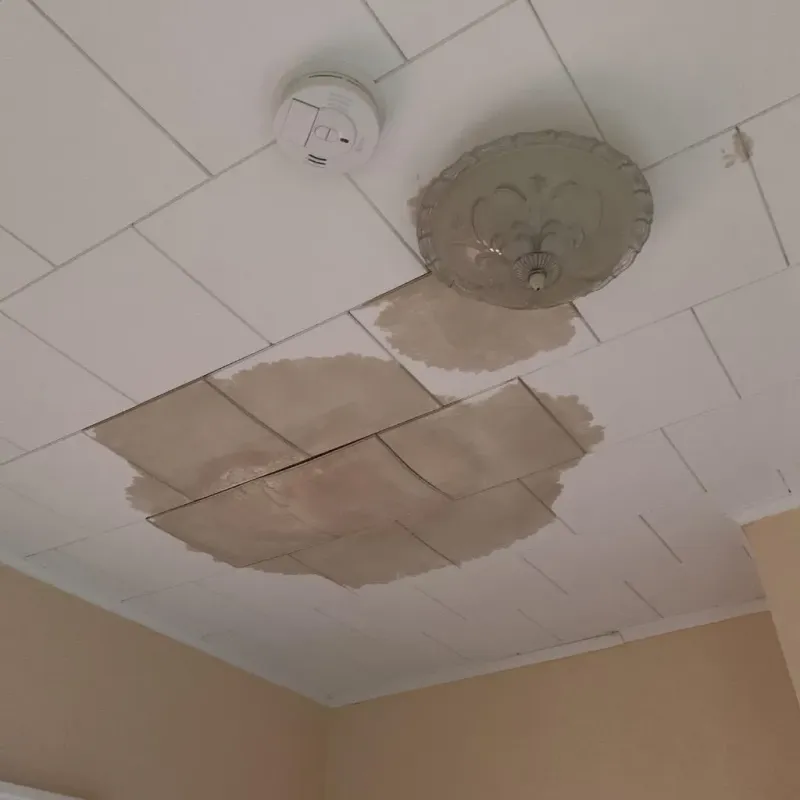 Ceiling Water Damage Repair in Lititz, PA