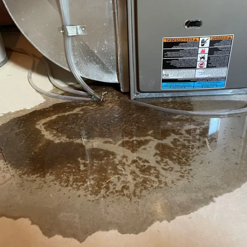 Pipe Burst and Leak Restoration in Lititz, PA
