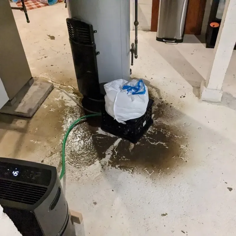 Sewage Backup Cleanup Service in Lititz, PA